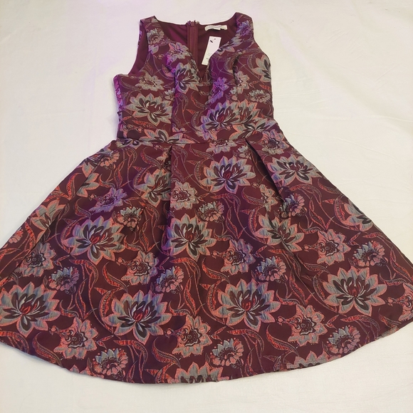 Francesca's Maroon Red Floral Embroidered Sleeveless A-Line Mini Dress Size S - Picture 3 of 15